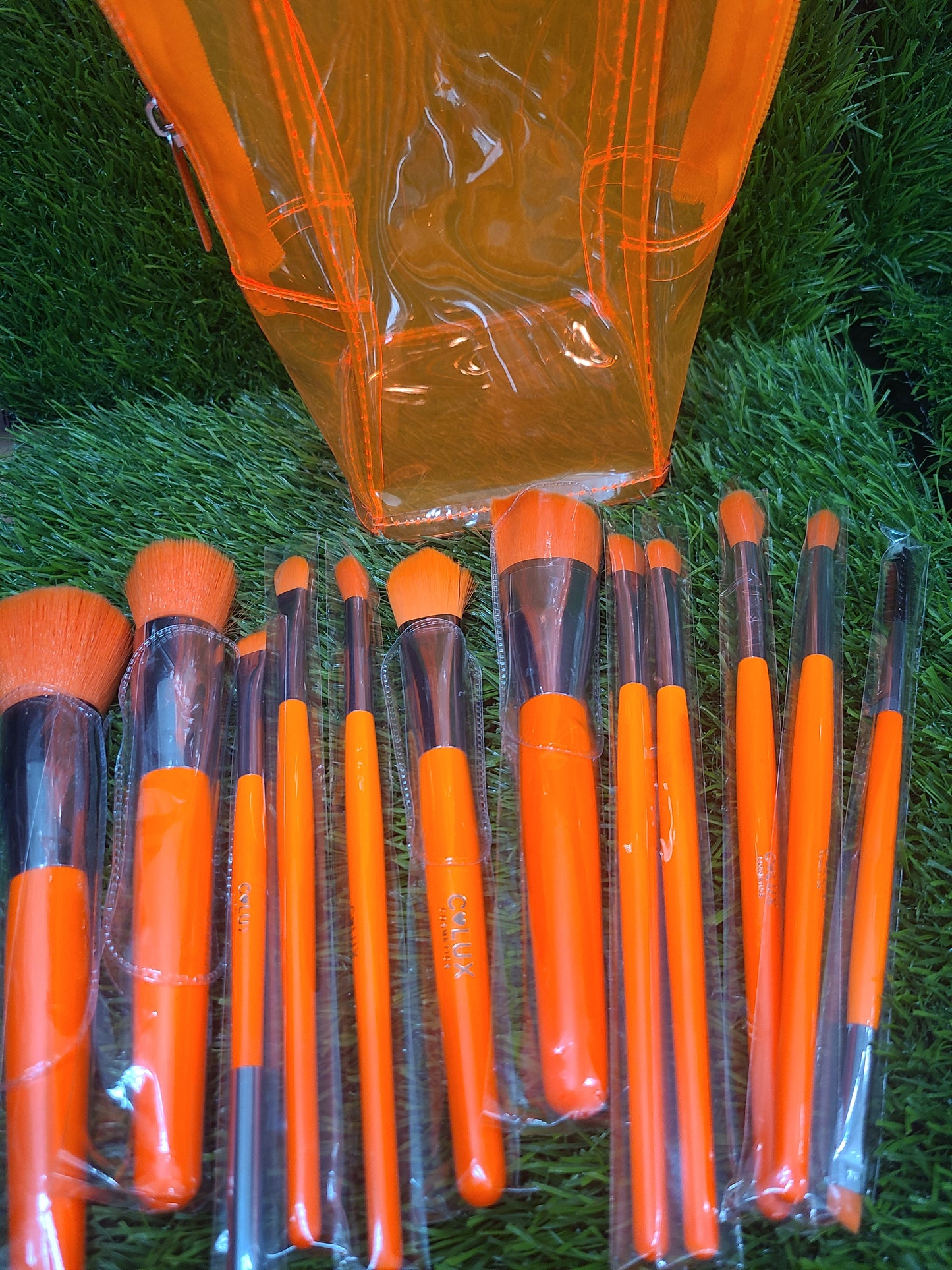 SAY SO 12PC brush set C-LUX